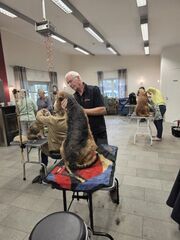 Trimmtag2026-1